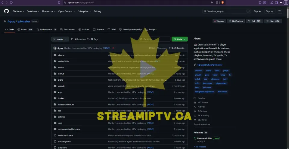 Étape 1 : Visitez la page GitHub d'IPTVnator : https://github.com/4gray/iptvnator